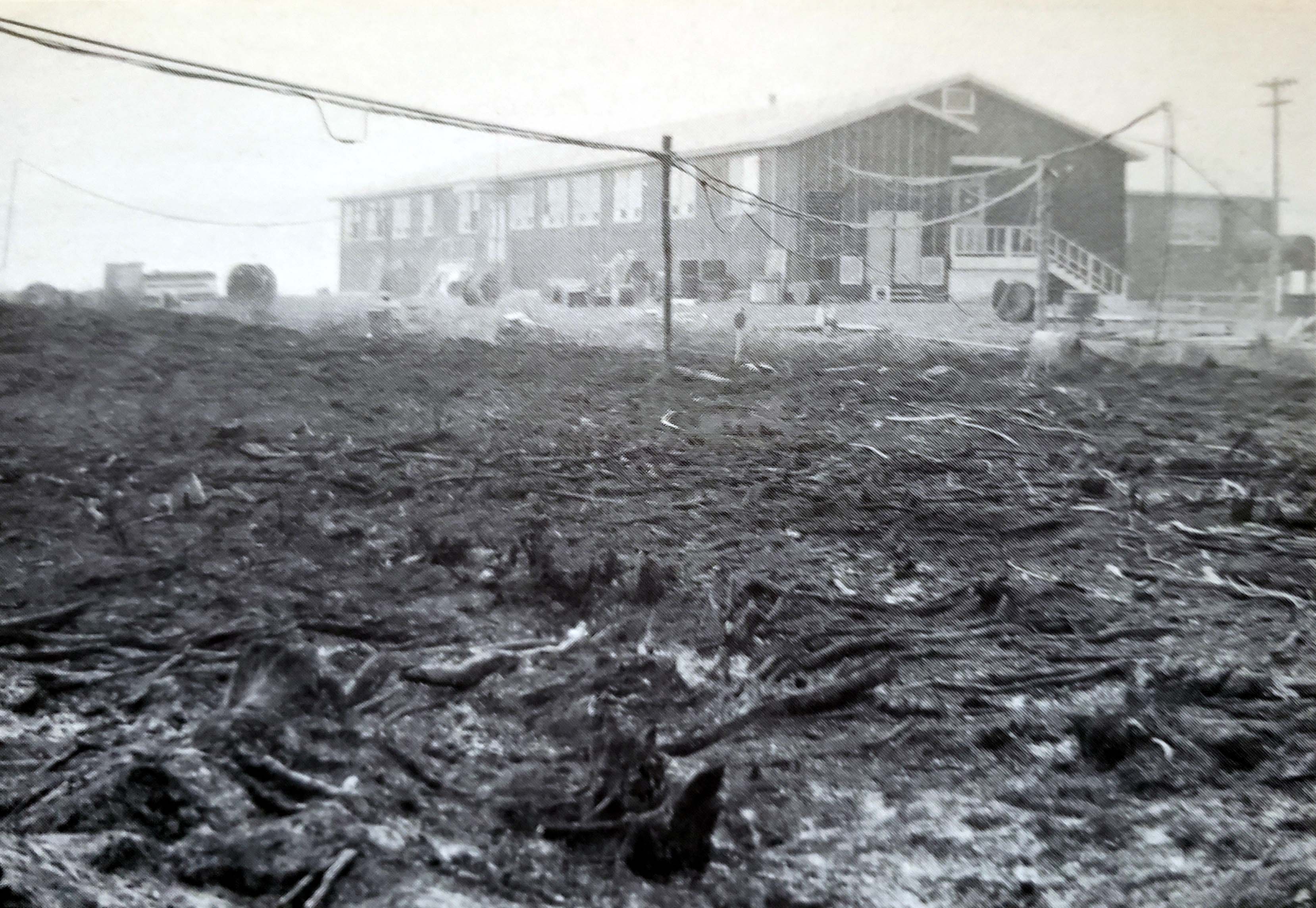 /inuvik forest Fire 02.jpg